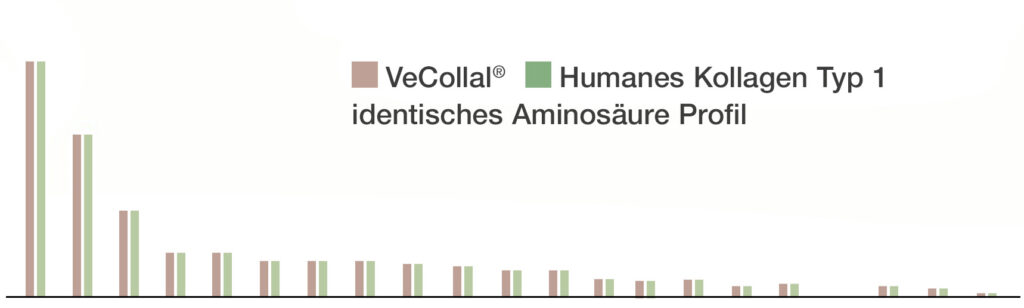 Das in High Collagen Vegan Boost enthaltene Vecollal, ein einzigartiges Biomimetikum des menschlichen Kollagens Typ 1, hat genau das gleiche Aminosäureprofil wie das Kollagen, das in menschlichem Kollagen vorkommt.