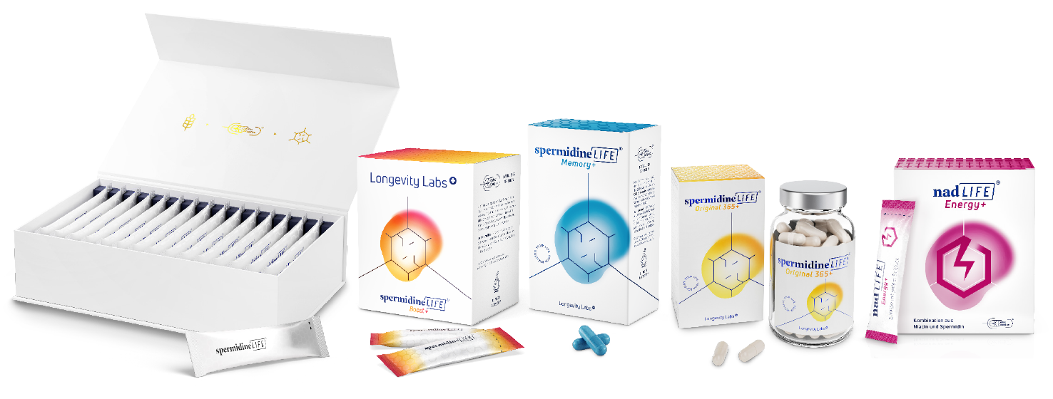 spermidineLIFE Gruppe